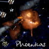Phoenicas